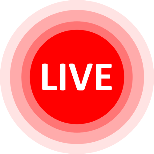 Lovesense Cam